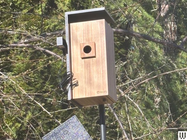 Image may contain: Wood, Hardwood, Stained Wood, and Mailbox