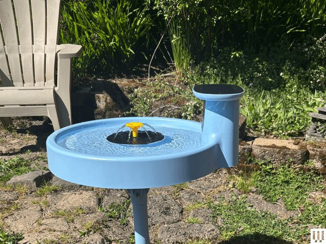 Image may contain: Birdbath, Chair, and Furniture