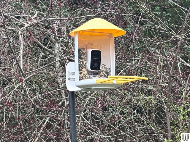 Image may contain: Bird Feeder