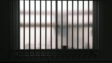 Wp header logo 106.png