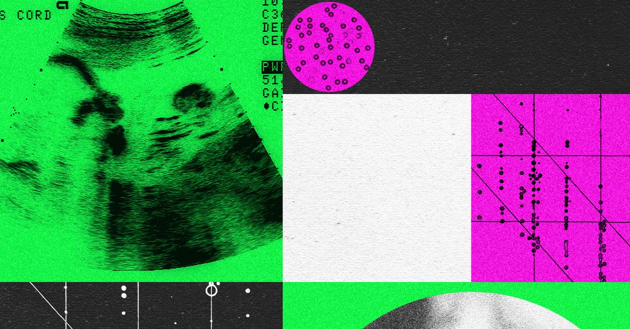 Wp header logo 111.png