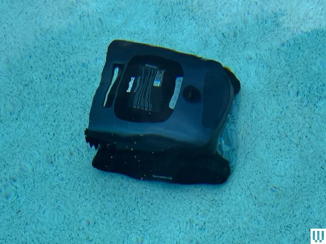 Wp header logo 115.png