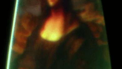 Wp header logo 13.png