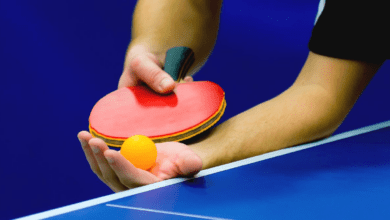 Wp header logo 132.png