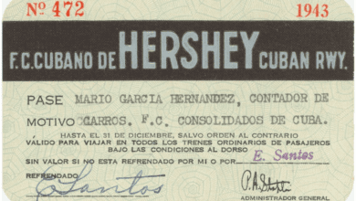 Wp header logo 134.png