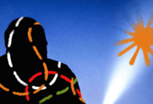 Wp header logo 135.png