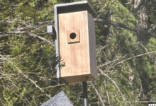 Wp header logo 146.png