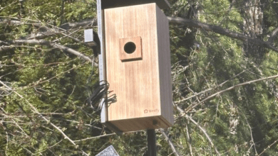 Wp header logo 146.png