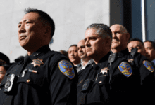 Wp header logo 176.png