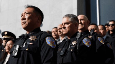 Wp header logo 176.png