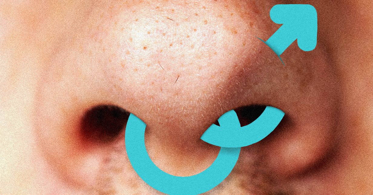 Wp header logo 208.png