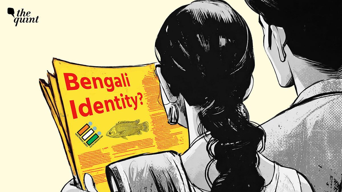 Wp header logo 234.png