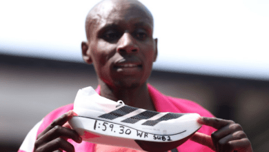 Wp header logo 237.png