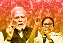 Wp header logo 239.png