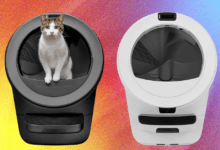 Wp header logo 241.png