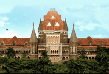 Wp header logo 31.png