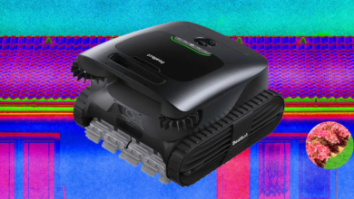 Wp header logo 52.png