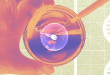 Wp header logo 58.png