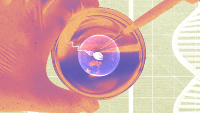 Wp header logo 58.png