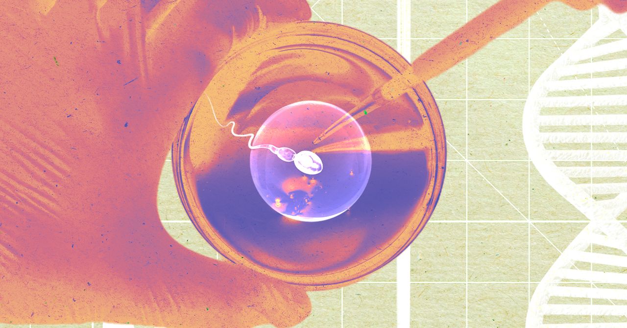 Wp header logo 58.png