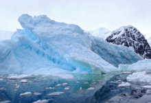 Wp header logo 61.png