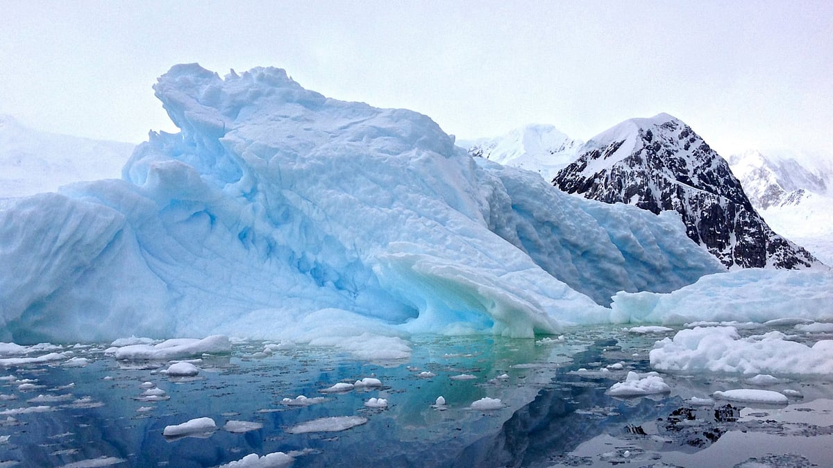 Wp header logo 61.png