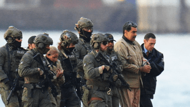 Wp header logo 79.png