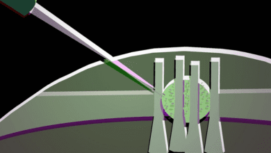 Wp header logo 9.png