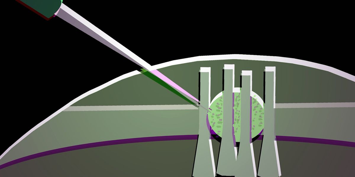 Wp header logo 9.png