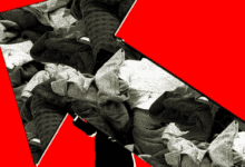 Wp header logo 251.png