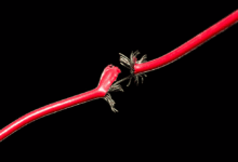 Wp header logo 34.png