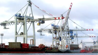 Container cranes and cargo ships at the Port of Hamburg in Germany