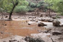 Broken footbridge supports and muddy debris along Bright Angel Creek after the August 29, 2026 Grand Canyon flood