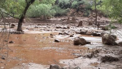 Broken footbridge supports and muddy debris along Bright Angel Creek after the August 29, 2026 Grand Canyon flood