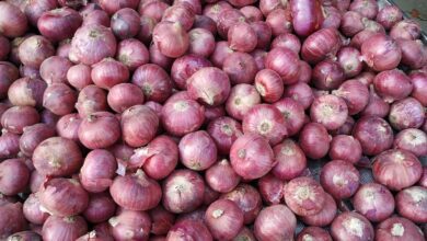 Large sacks and piles of onions at an Indian wholesale market