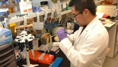 A medical laboratory scientist working with micropipettes at a laboratory bench