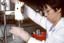 Laboratory technician conducting an assay in an archive photograph.