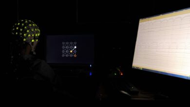 Participant using a brain-computer interface in an experiment