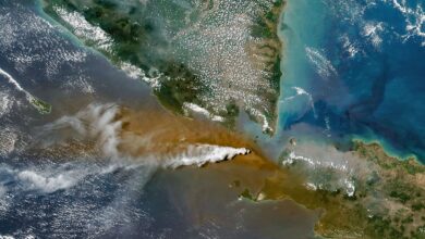 A satellite image shows an ash plume spreading from Anak Krakatau