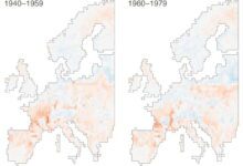 European bumblebees shown in a scientific study press image