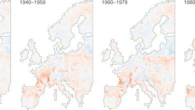 European bumblebees shown in a scientific study press image