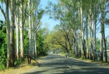 Archive view of a road in Dehradun; not a current road-status photograph