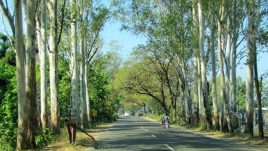 Archive view of a road in Dehradun; not a current road-status photograph