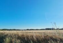 A dry French landscape under a clear summer sky in the official Meteo-France seasonal assessment