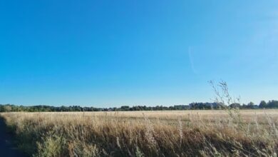 A dry French landscape under a clear summer sky in the official Meteo-France seasonal assessment