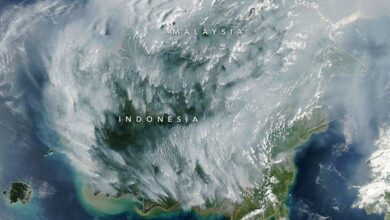 Satellite view of smoke from peatland fires over Indonesia in September 2026