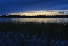 The sun sets over a salt marsh in Charleston, South Carolina