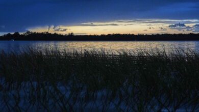 The sun sets over a salt marsh in Charleston, South Carolina