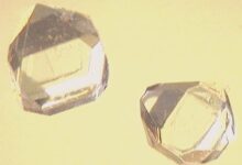 Xylitol crystals in an archive laboratory-style photograph
