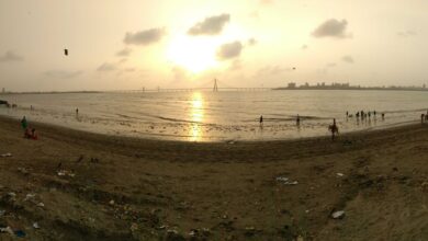 Wide archive view of Shivaji Park in Mumbai